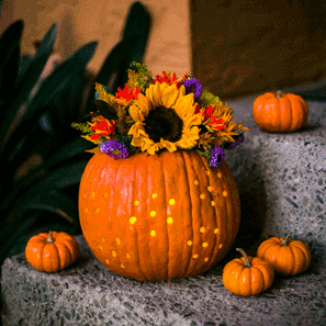 Image - 5 Ways to Use Pumpkins in your Fall Flower Arrangements 